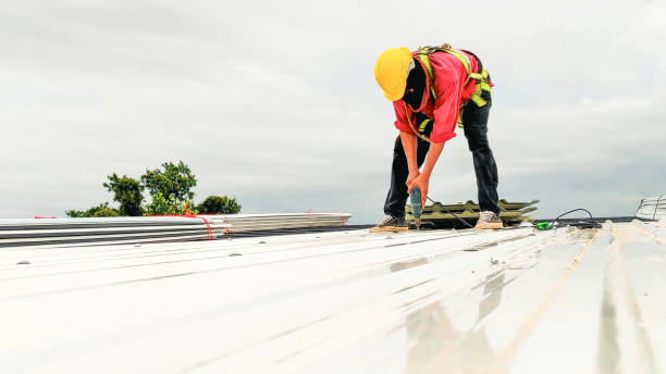Best Asphalt Shingle Roofing  in Plymouth, MN
