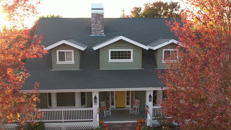 Best Flat Roofing  in Plymouth, MN