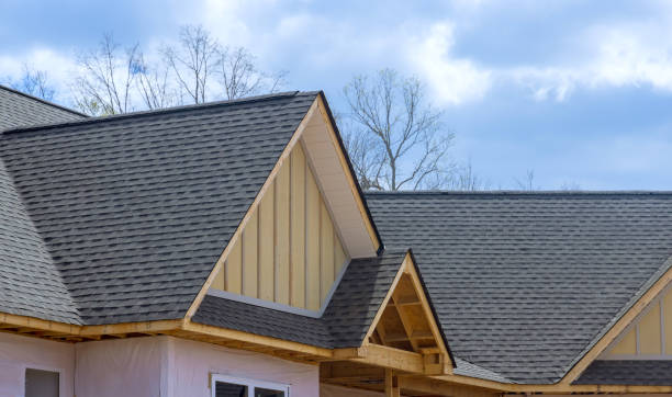 Best Roof Moss and Algae Removal  in Plymouth, MN