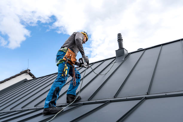 Best Solar Panel Roofing Installation  in Plymouth, MN