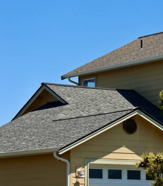 Best Roof Moss and Algae Removal  in Plymouth, MN